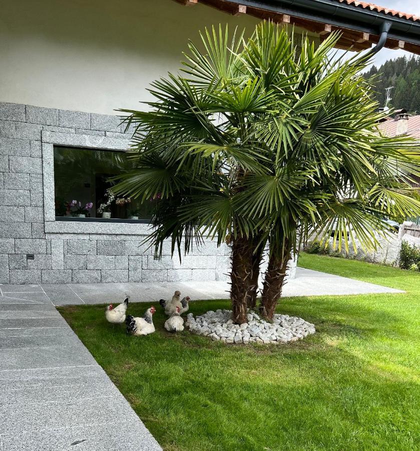 B&B Casa Il Sasso Pinzolo Buitenkant foto
