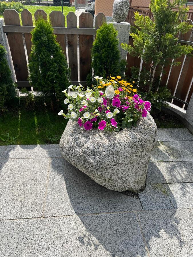 B&B Casa Il Sasso Pinzolo Buitenkant foto